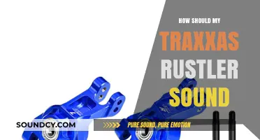 Perfect Traxxas Rustler Sound: Tuning Tips for Optimal Performance