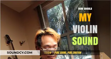 Mastering Your Violin's Tone: A Guide to Ideal Sound Quality