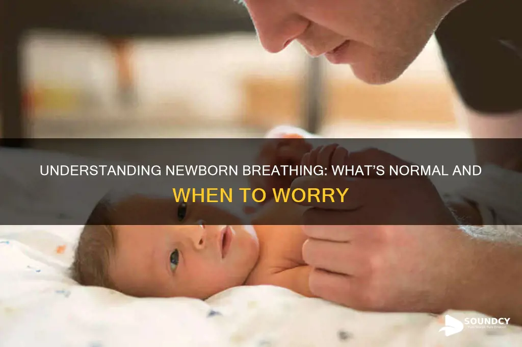 how should newborn breathing sound