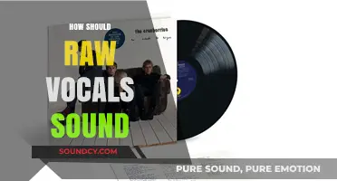 Raw Vocals: Balancing Authenticity, Clarity, and Emotion in Your Sound