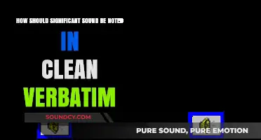 Mastering Clean Verbatim: Effective Techniques for Noting Significant Sounds