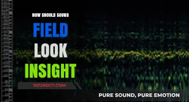 Visualizing Soundscapes: Understanding the Ideal Sound Field Inside Spaces