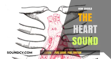 Understanding Normal Heart Sounds: A Guide to Healthy Cardiac Rhythms