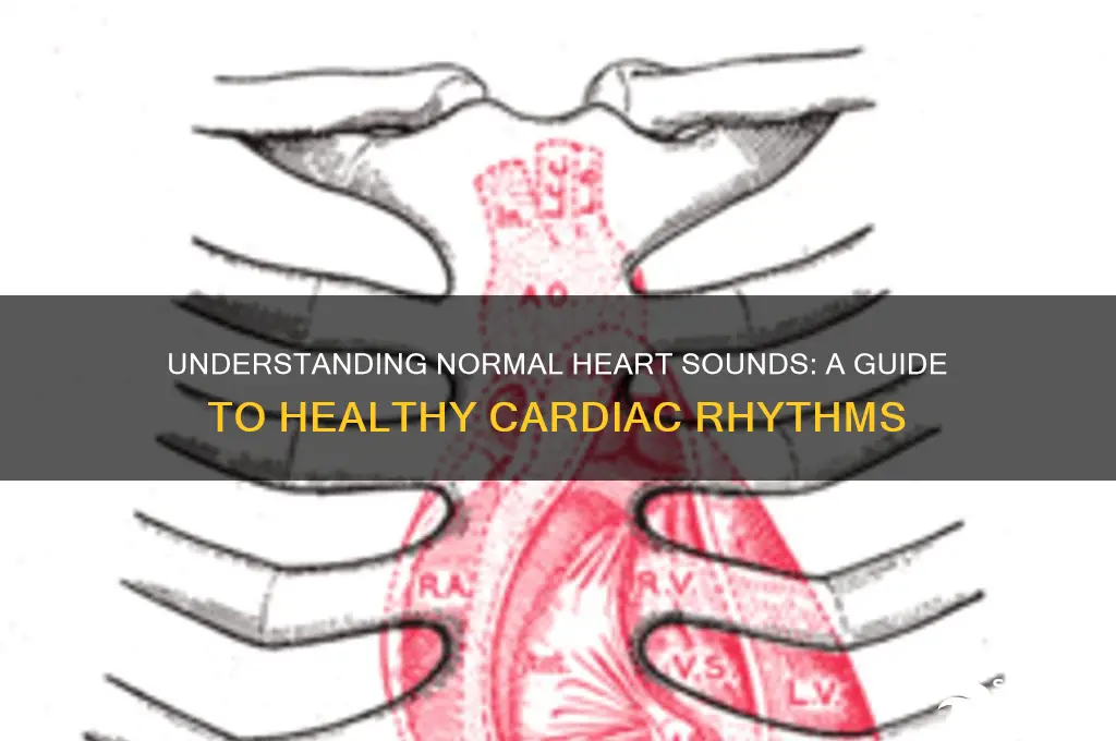 how should the heart sound