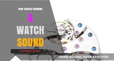 The Art of Winding: Decoding the Perfect Watch Winding Sound