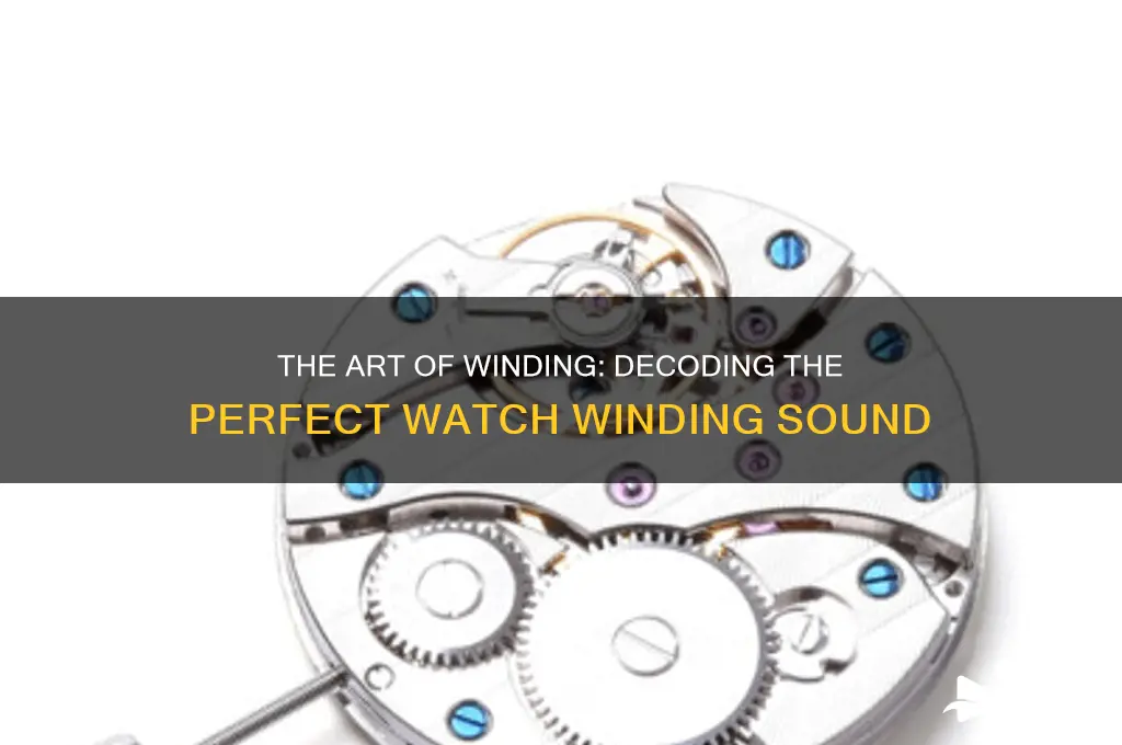 how should winding a watch sound