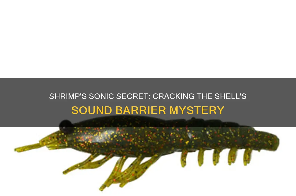 how shrimp break shells sound barrier