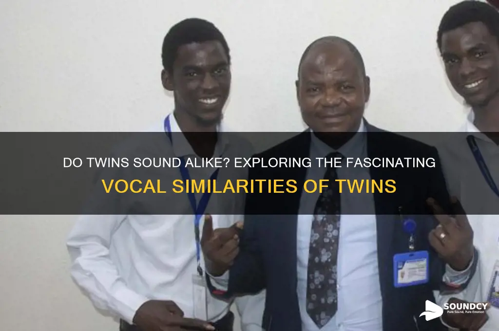 how similar do twins sound