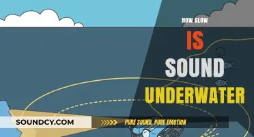 How Slow is Sound Underwater: Exploring Submerged Acoustic Speeds