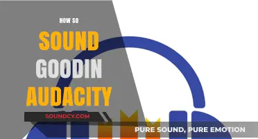 Mastering Audacity: Tips to Enhance Your Audio and Sound Professional