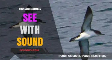 Echoes of Perception: How Animals Navigate the World Through Sound