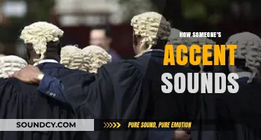 Decoding Accents: How Regional Speech Patterns Shape Unique Vocal Identities