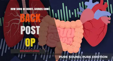 Post-Op Recovery: When Do Bowel Sounds Return After Surgery?