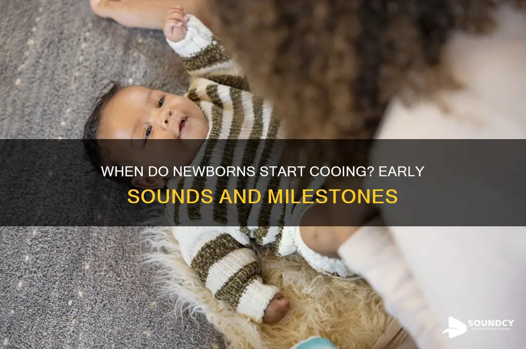 how soon newborns make sounds