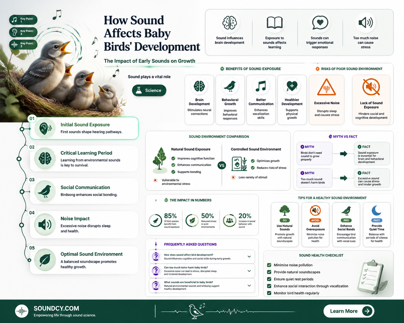 are baby birds sensitive to sound