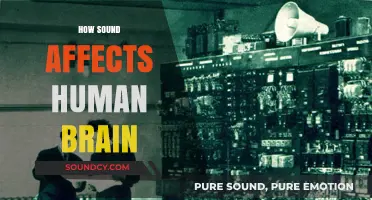 Unveiling the Power of Sound: How Audio Shapes Our Brain's Functionality