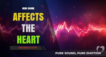 The Power of Sound: How Audio Influences Heart Health and Rhythm