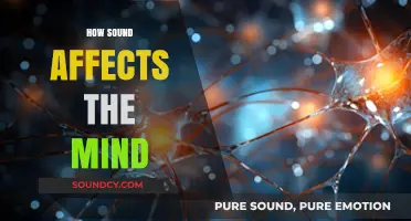 The Power of Sound: How Audio Influences Mental Health and Cognition