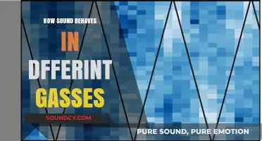Exploring Sound Waves: How They Travel Through Various Gases