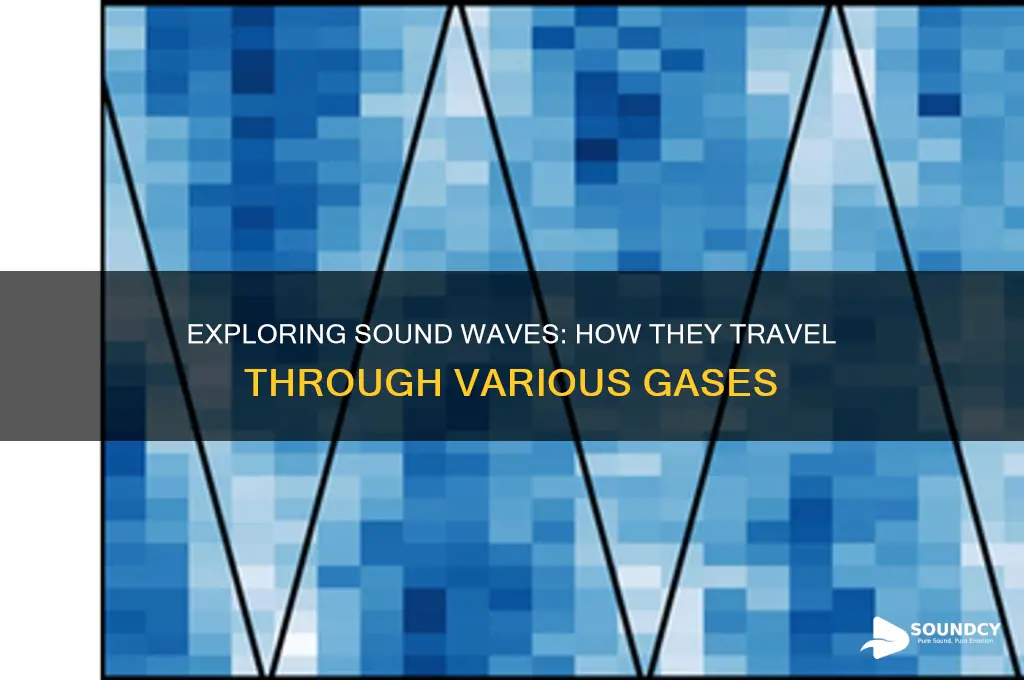 how sound behaves in dfferint gasses