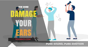 How Excessive Noise Silently Destroys Your Hearing Health Over Time