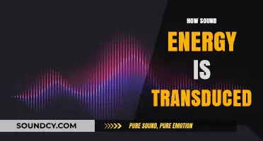 Understanding Sound Transduction: How Energy Transforms into Auditory Signals