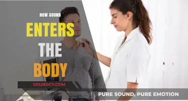 Understanding How Sound Waves Enter and Affect the Human Body