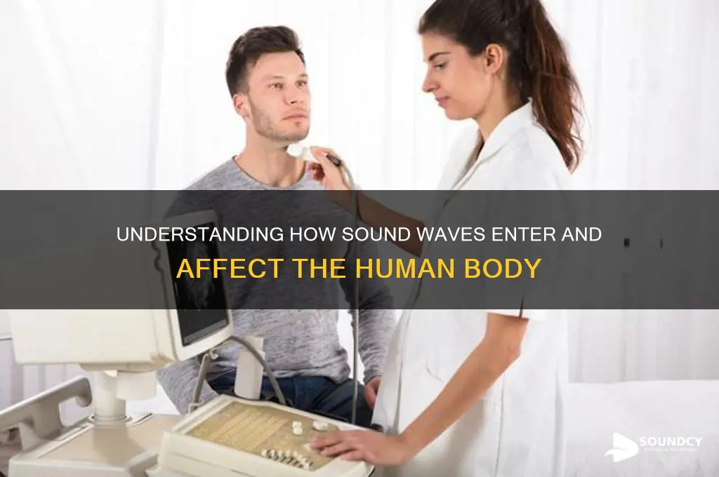 how sound enters the body