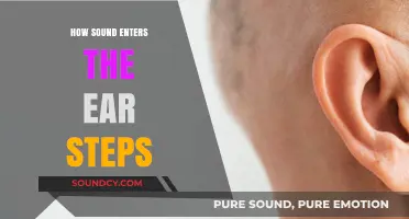 Understanding the Journey: How Sound Enters the Ear in Simple Steps