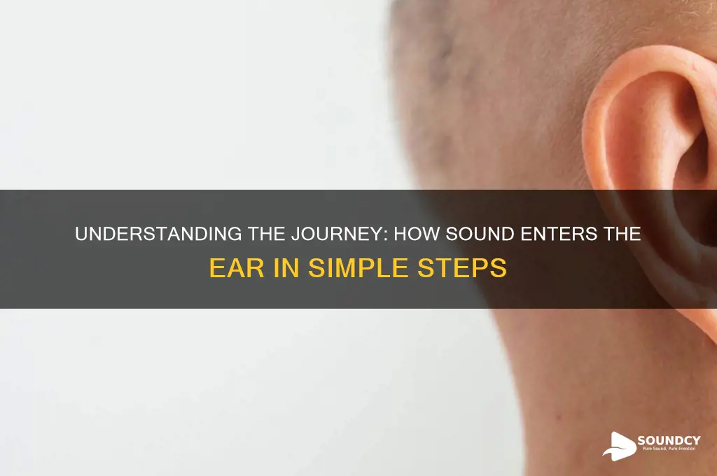 how sound enters the ear steps