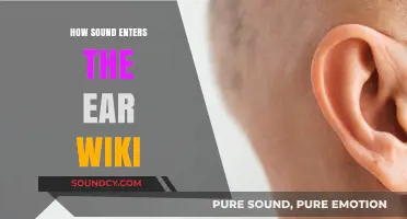 Understanding How Sound Enters the Ear: A Comprehensive Wiki Guide