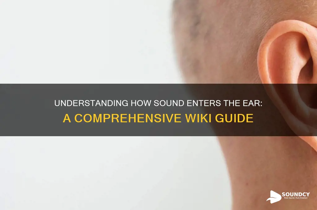 how sound enters the ear wiki