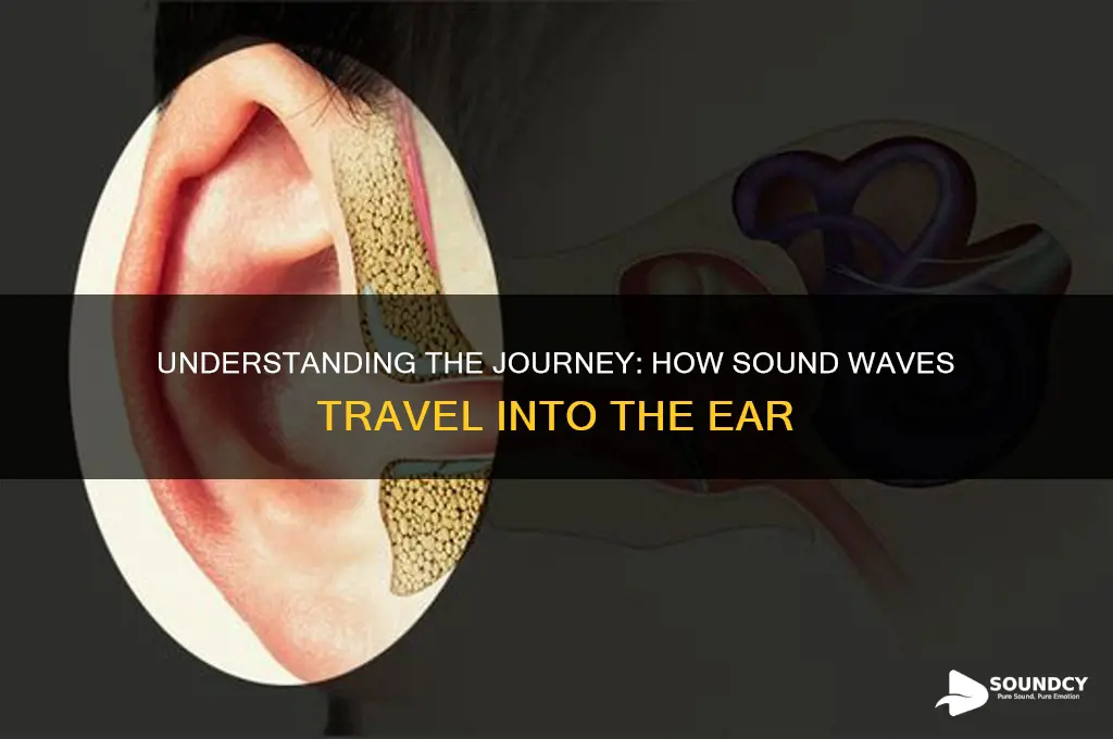 how sound enters the ear