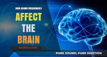 Unveiling the Power of Sound: How Frequencies Shape Brain Function