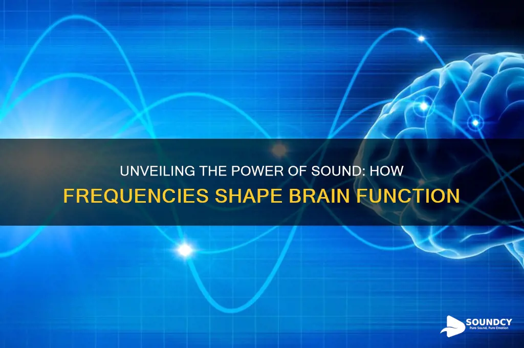 how sound frequencies affect the brain