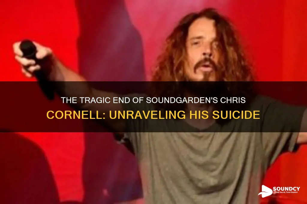 how sound garden guy kill self