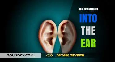 How Sound Waves Travel and Enter the Human Ear