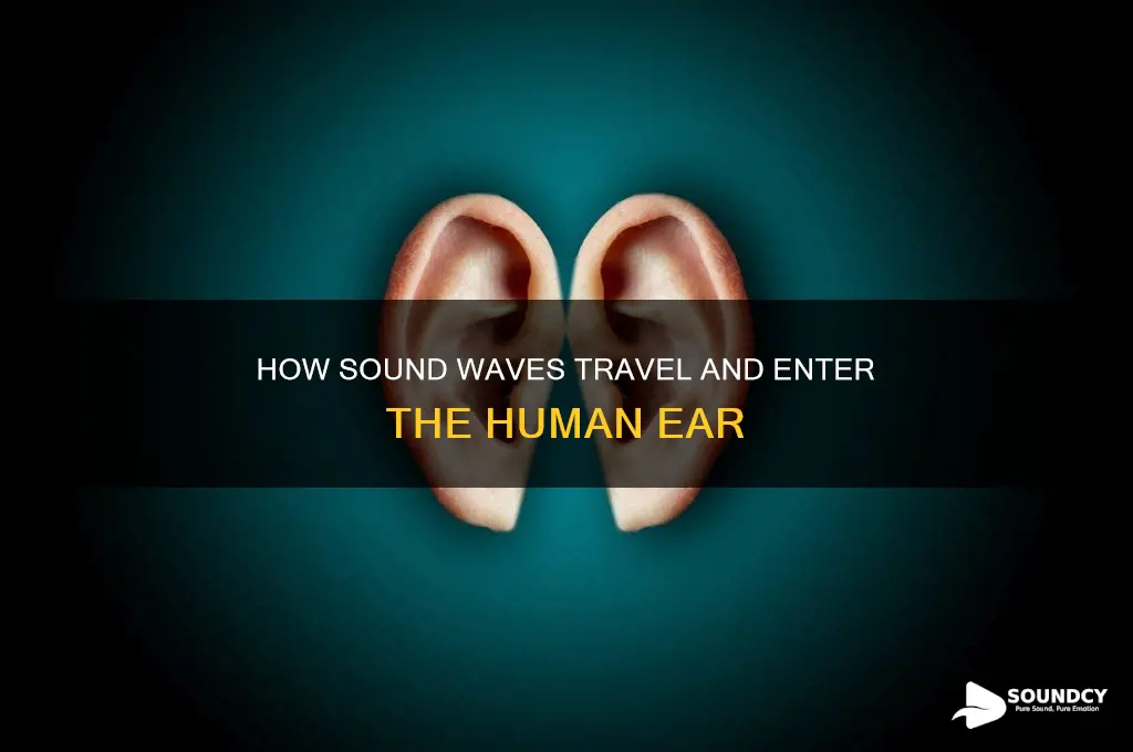 how sound goes into the ear