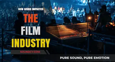 The Sonic Revolution: How Sound Transformed Cinematic Storytelling