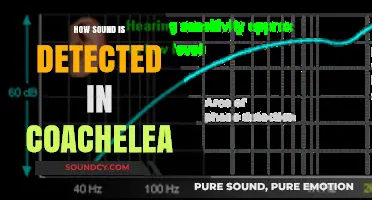 How the Cochlea Detects Sound: Unraveling the Auditory Process
