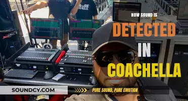 How Coachella Captures Every Beat: The Science of Sound Detection