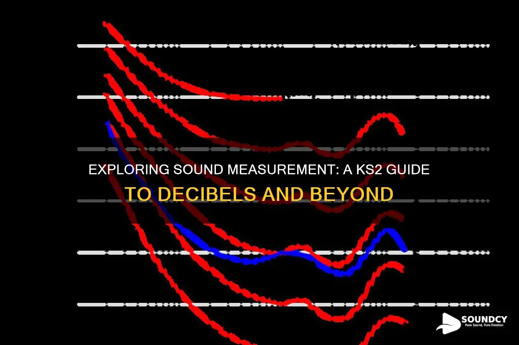 how sound is measured ks2