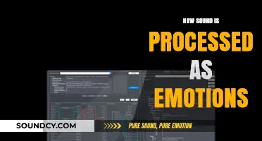 Decoding Sound: How Auditory Signals Shape Emotional Experiences