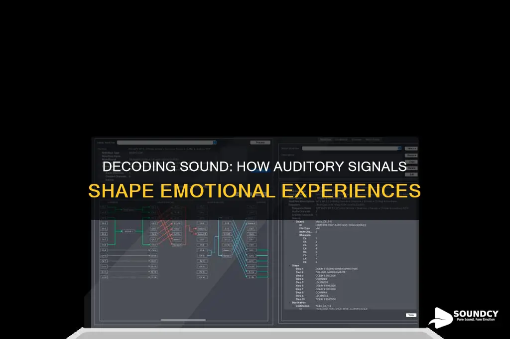 how sound is processed as emotions