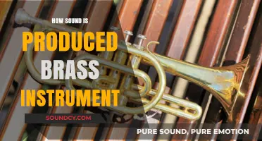 Unveiling the Science Behind Sound Production in Brass Instruments
