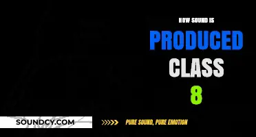 Understanding Sound Production: A Simple Guide for Class 8 Students