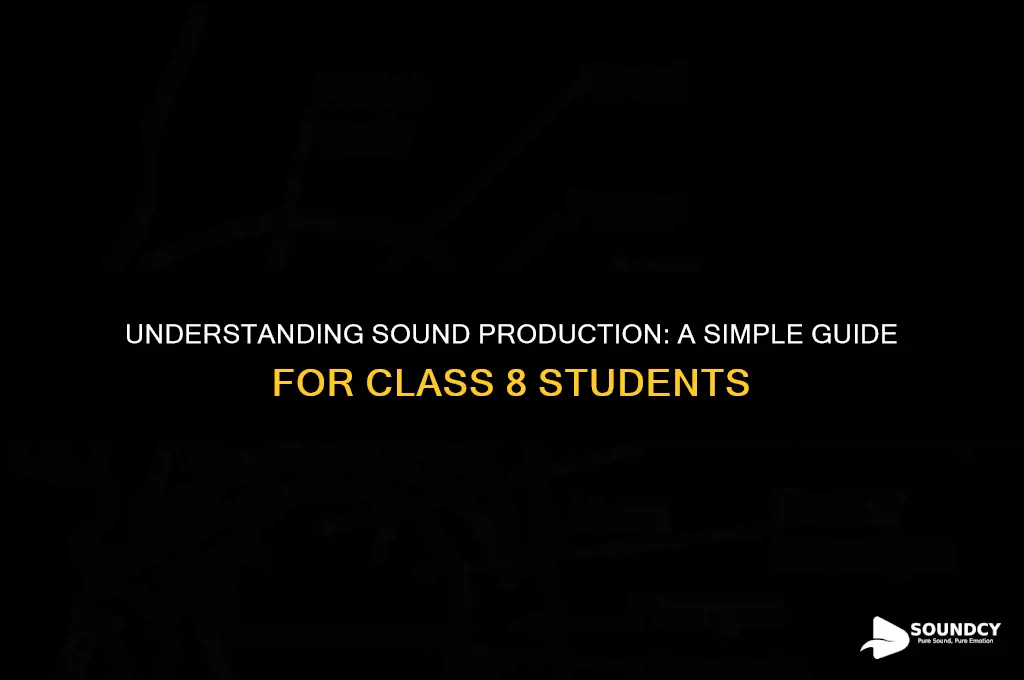 how sound is produced class 8