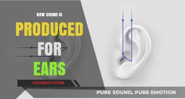 Unveiling the Science: How Sound Waves Reach and Stimulate Our Ears