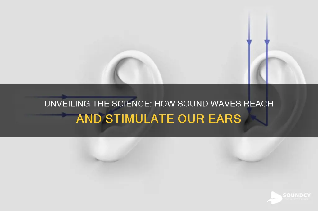 how sound is produced for ears