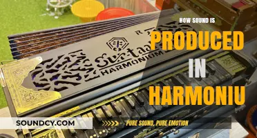 Understanding Harmonium Sound Production: Mechanics and Principles Explained